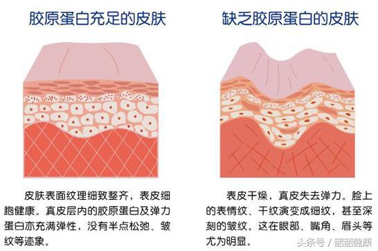 小分子富硒茶(富硒茶叶)-硒宝网