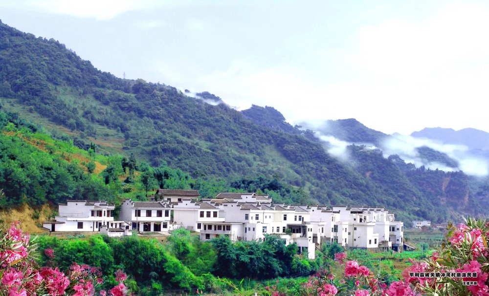 汉中有富硒茶(汉阴富硒茶)-硒宝网