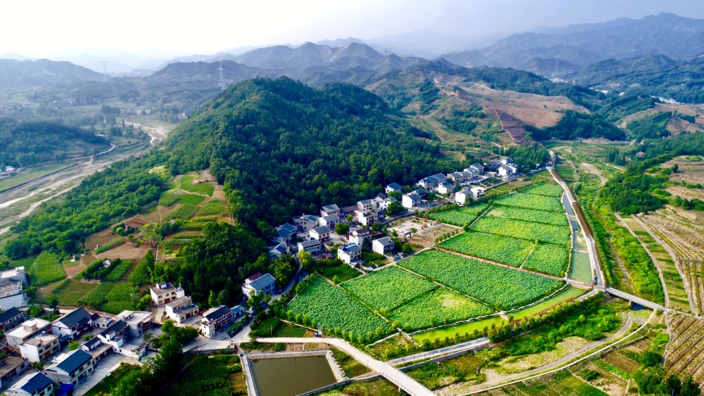 汉中有富硒茶(汉阴富硒茶)-硒宝网