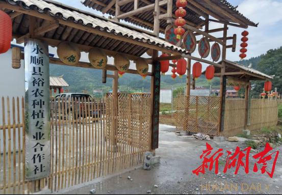 正宗富硒莓茶(正宗茶莓富硒茶多少钱)-硒宝网