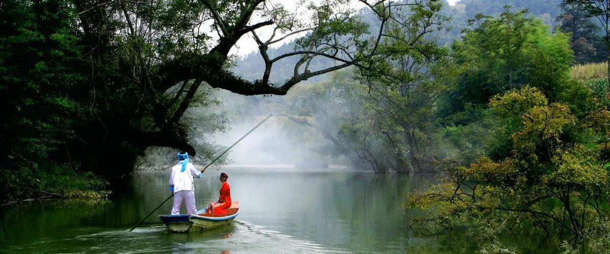 湖北富硒黑茶（湖北黑茶）-硒宝网