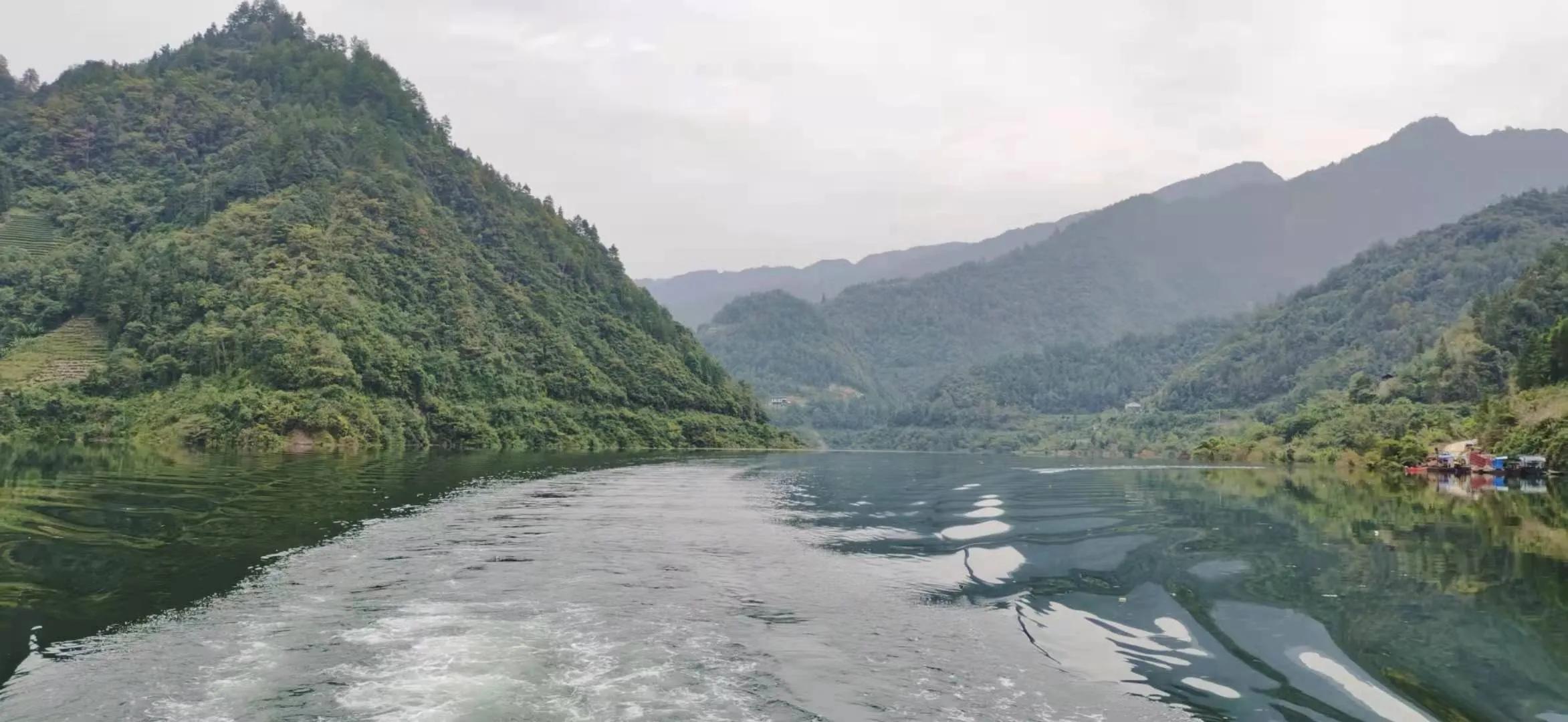 湖北富硒黑茶（湖北黑茶）-硒宝网