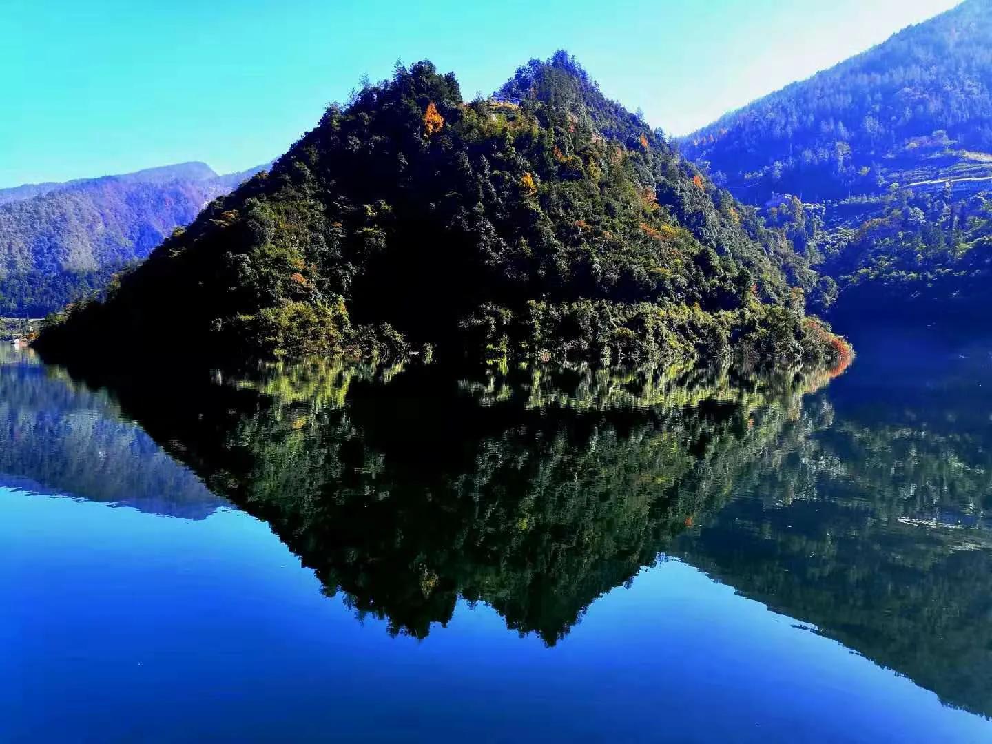 湖北富硒黑茶（湖北黑茶）-硒宝网