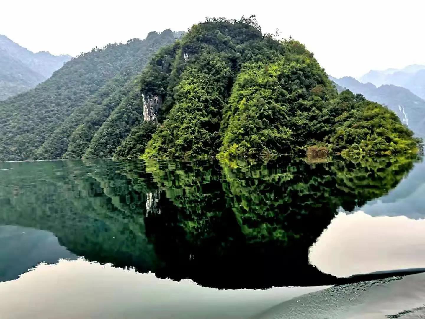 湖北富硒黑茶（湖北黑茶）-硒宝网