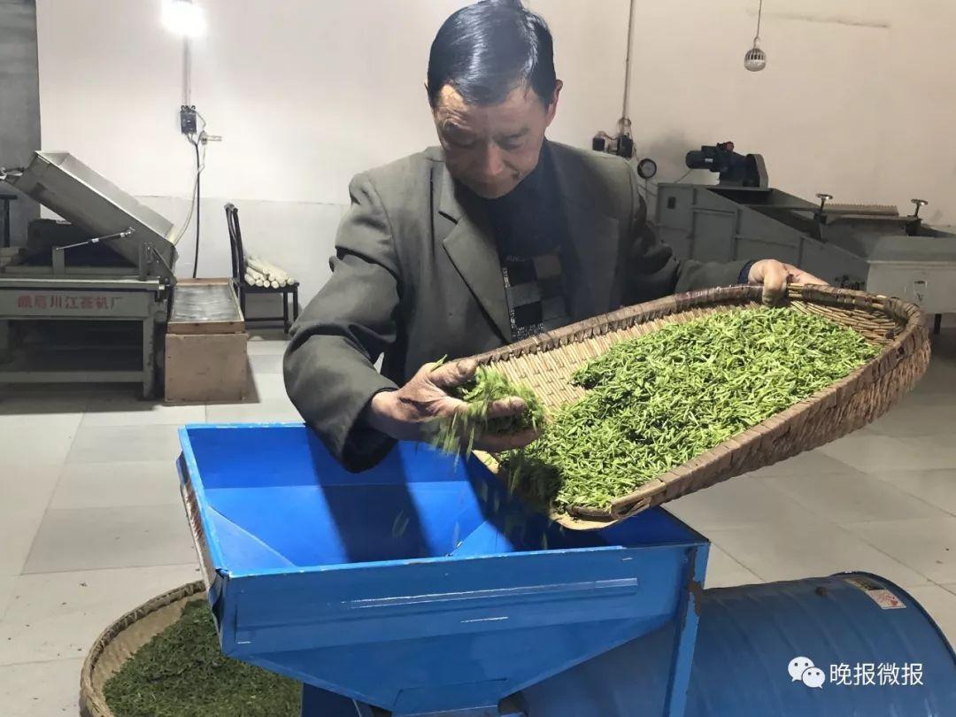 泾阳富硒黑茶(富硒黑茶多少钱)-硒宝网