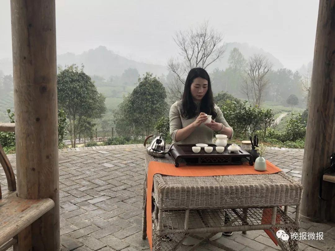 泾阳富硒黑茶(富硒黑茶多少钱)-硒宝网