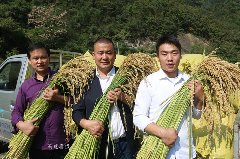 芭蕉县富硒茶（蕉岭富硒茶）-硒宝网
