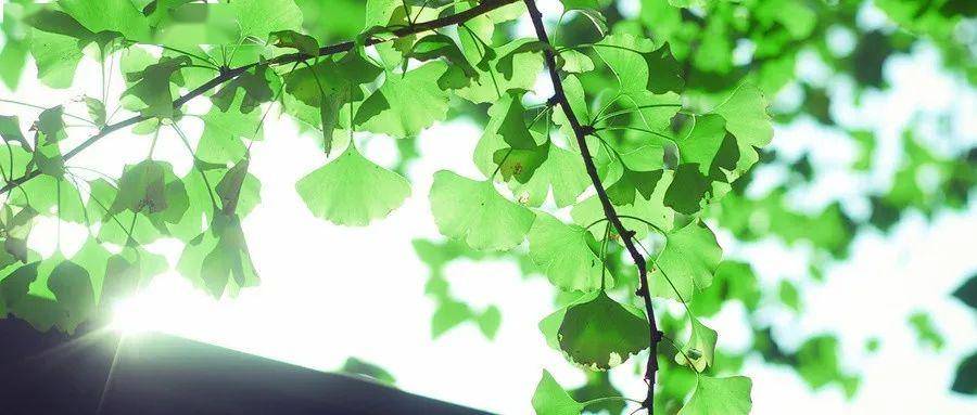 卖富硒茶直播（富硒茶杯骗局）-硒宝网