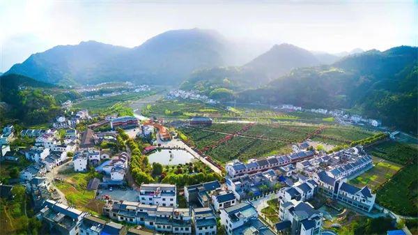 芭蕉县富硒茶（恩施芭蕉茶园）-硒宝网