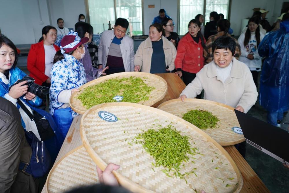 芭蕉县富硒茶(芭蕉茶叶)-硒宝网