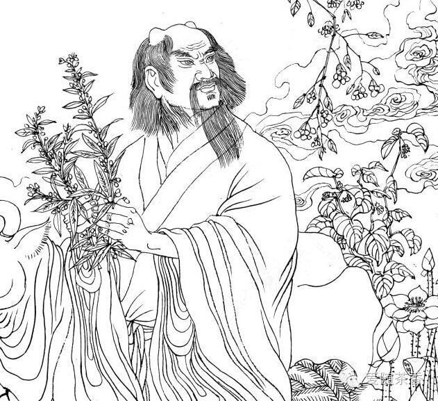 富硒茶的文化（富硒茶宣传语）-硒宝网