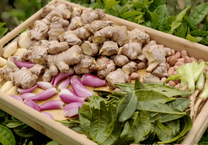 长寿富硒的茶(富硒长寿)-硒宝网