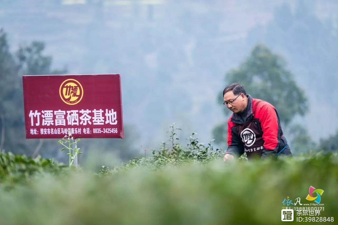 富硒茶真的吗（茶富硒标准含量）-硒宝网