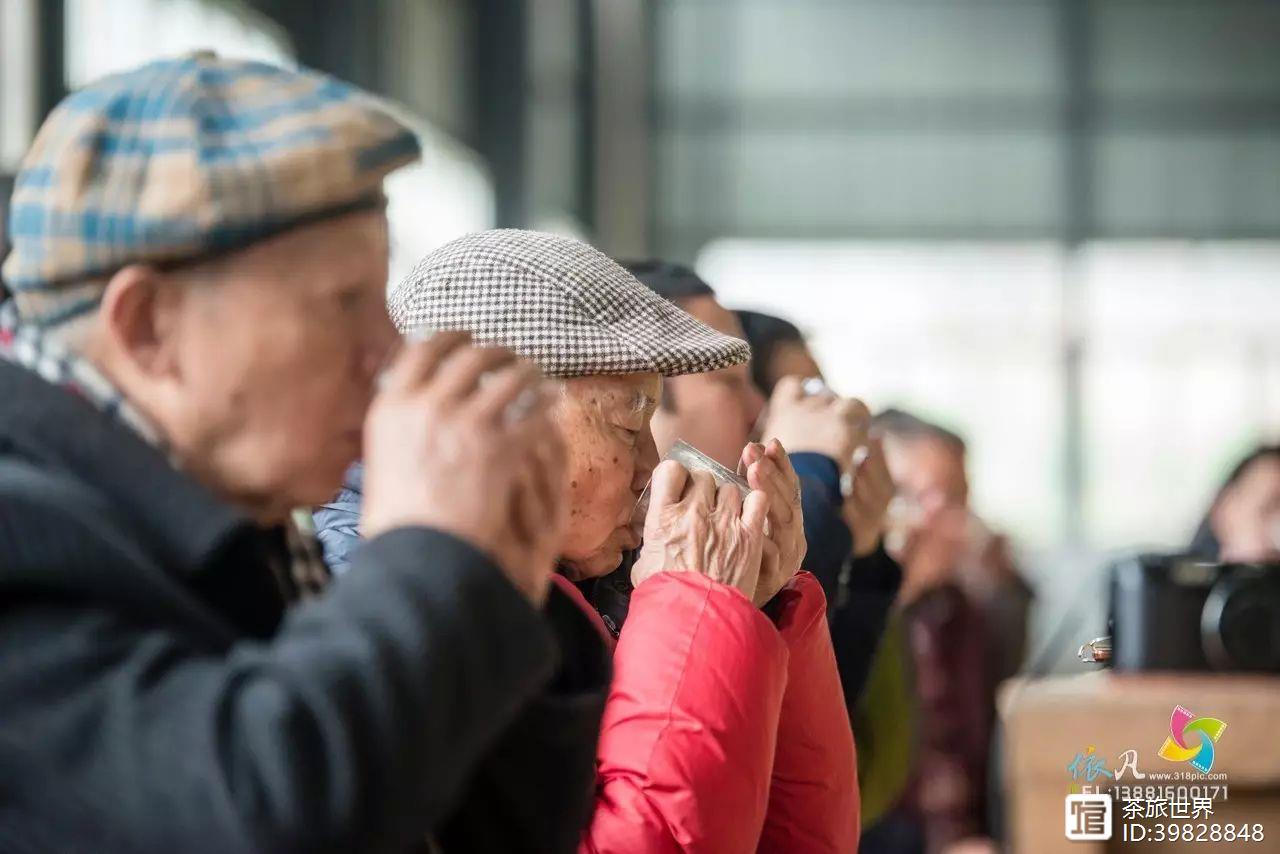 富硒茶真的吗（茶富硒标准含量）-硒宝网