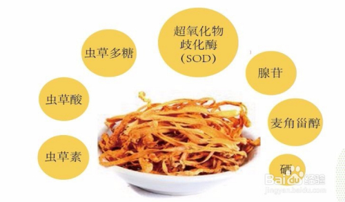 富硒蛹虫草茶(蛹虫草富硒高钙饮品)-硒宝网