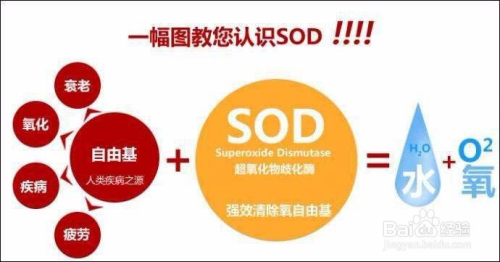 富硒蛹虫草茶(蛹虫草富硒高钙饮品)-硒宝网