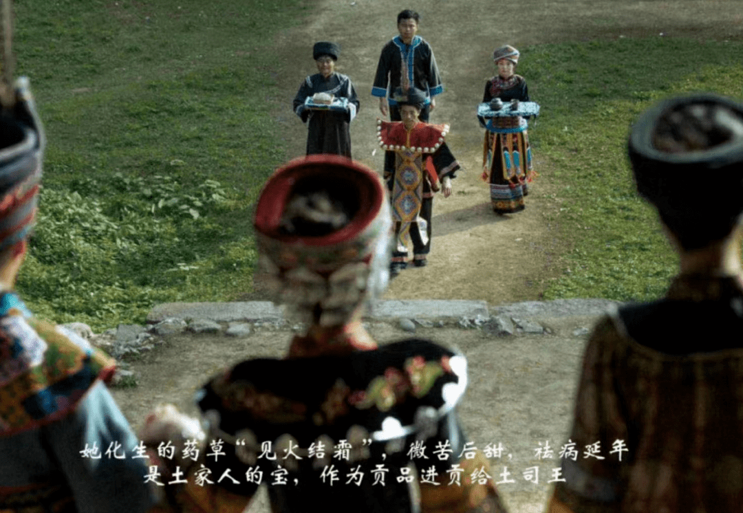 永顺富硒莓茶（永顺莓茶合作社）-硒宝网