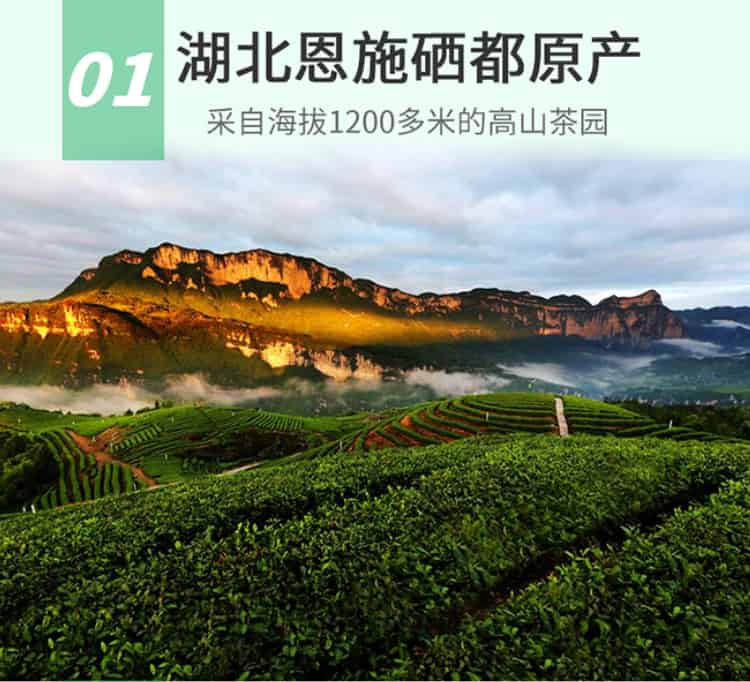 湖北富硒茶粉(湖北富硒茶是绿茶吗)-硒宝网