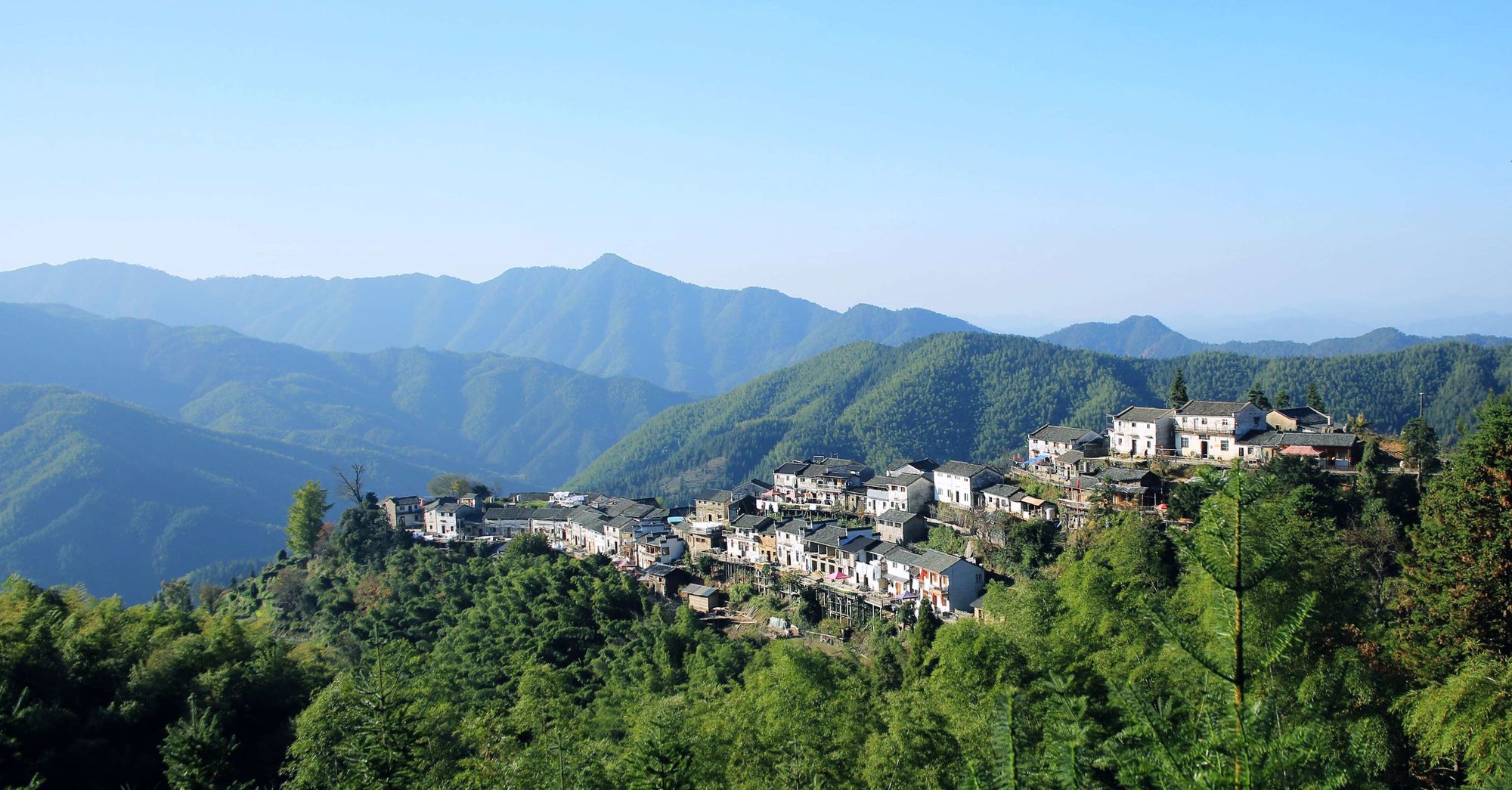 绩溪产富硒茶(富硒茶园)-硒宝网