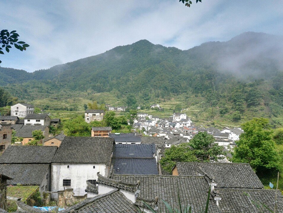 绩溪产富硒茶(富硒茶园)-硒宝网