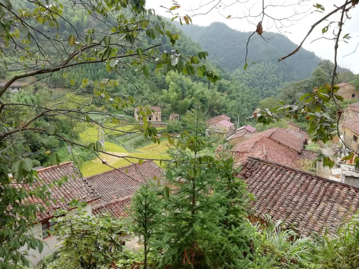 绩溪产富硒茶(富硒茶园)-硒宝网