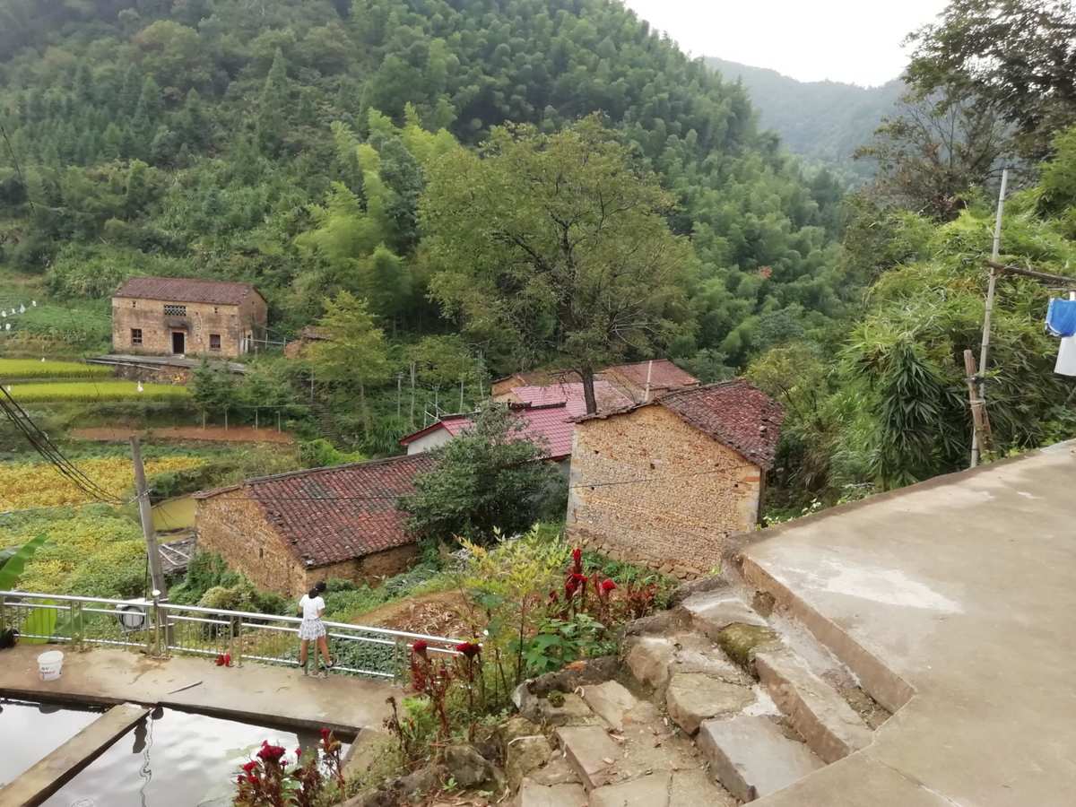 绩溪产富硒茶(富硒茶园)-硒宝网