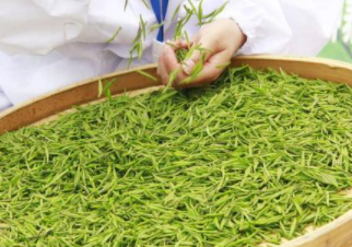 富硒茶高血压(血压茶富硒高吗能喝吗)-硒宝网