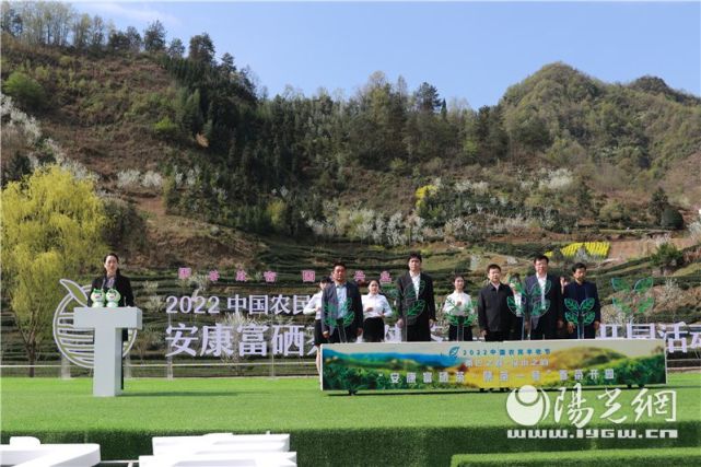 梅州的富硒茶(梅州蕉岭富硒红茶)-硒宝网