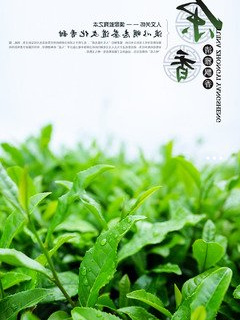 富硒茶直播间(富硒茶园)-硒宝网