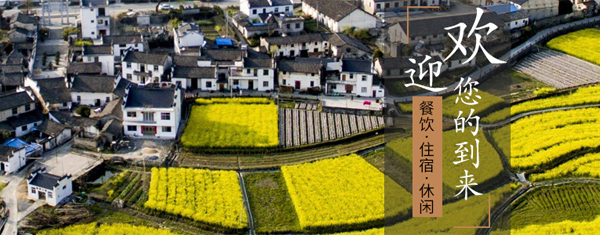 仙富山富硒茶（仙寓山富硒茶的功效）-硒宝网