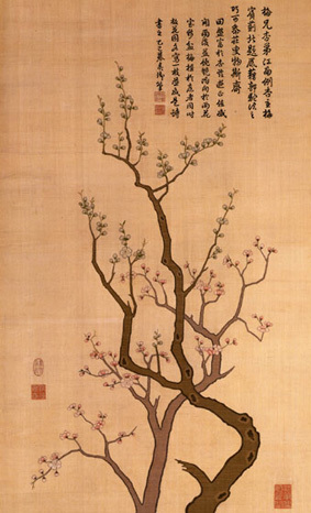 开阳富硒茶图（开阳富硒茶叶）-硒宝网