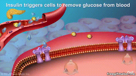 富硒茶防脱发(防脱发代茶饮)-硒宝网