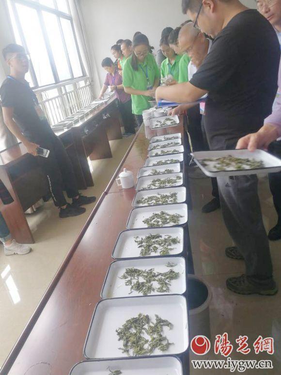 认证的富硒茶(富硒茶logo)-硒宝网