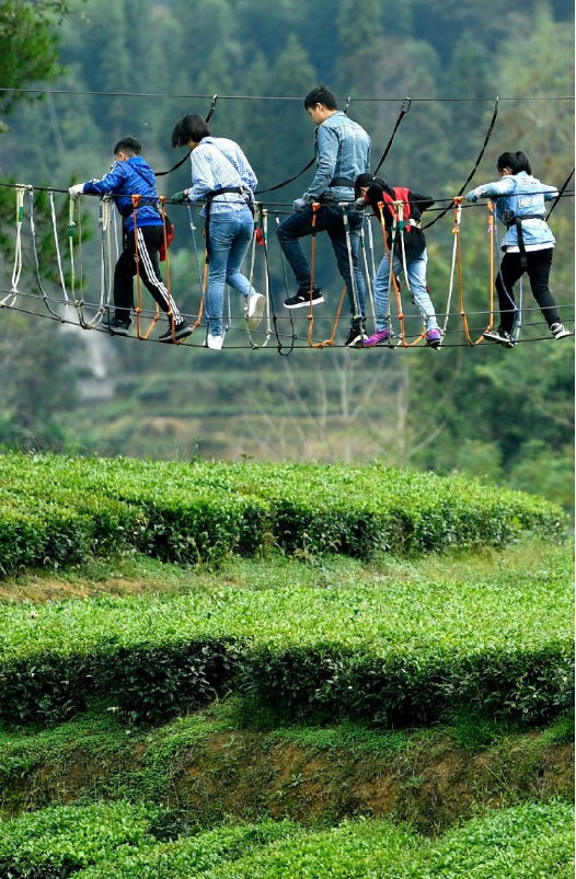 恩施茶富硒吗（恩施富硒茶厂）-硒宝网