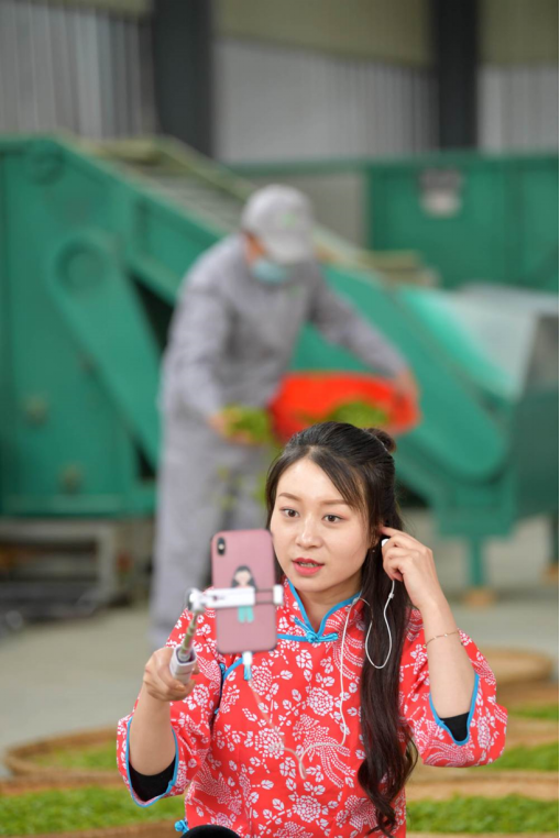 恩施茶富硒吗（恩施富硒茶厂）-硒宝网