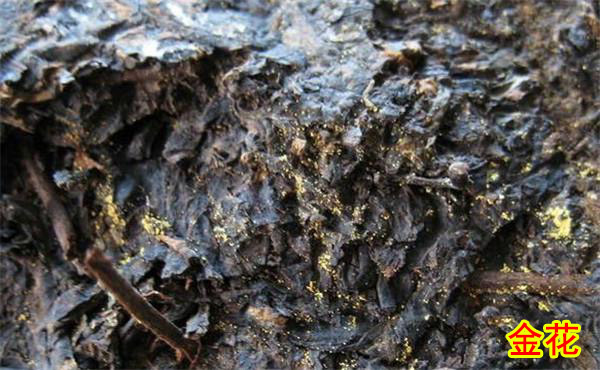 富硒抹茶功效（功效富硒抹茶粉的作用）-硒宝网