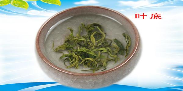 富硒铁观音茶（富硒铁观音的功效和禁忌）-硒宝网