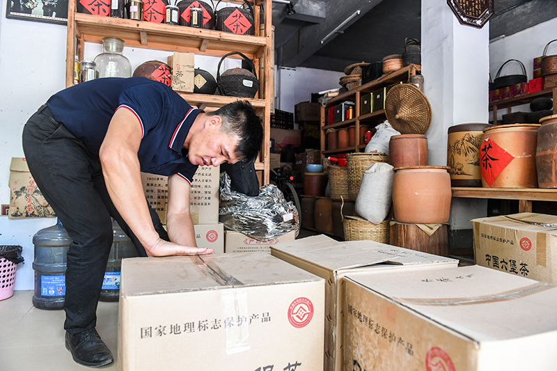 叶动力富硒茶（叶动力富硒茶）-硒宝网