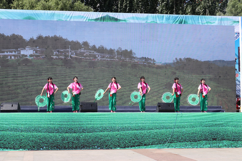 榆林富硒黑茶(陕西黑茶的功效与作用)-硒宝网