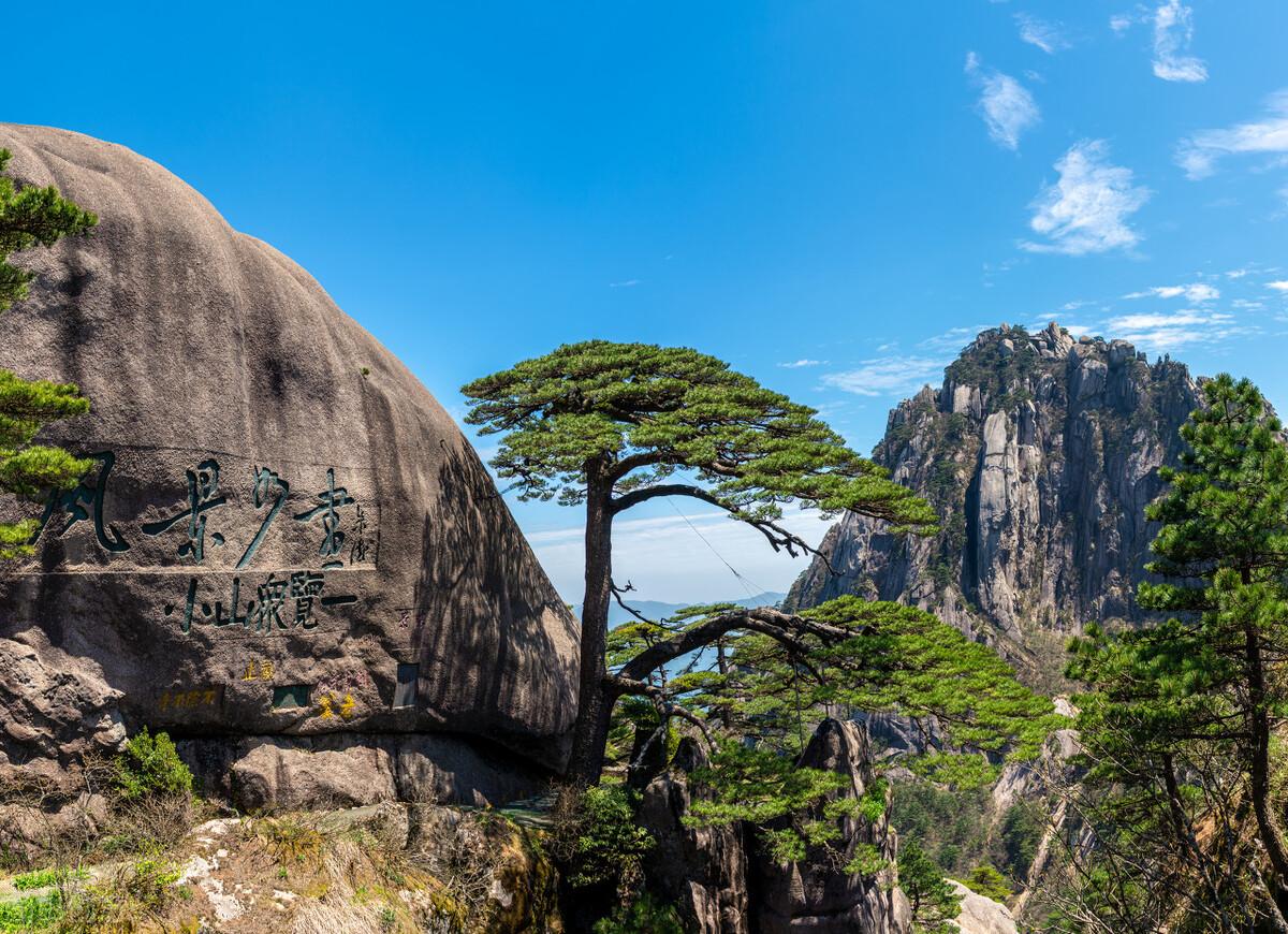 富硒铁观音茶（茶叶铁观音的功效）-硒宝网