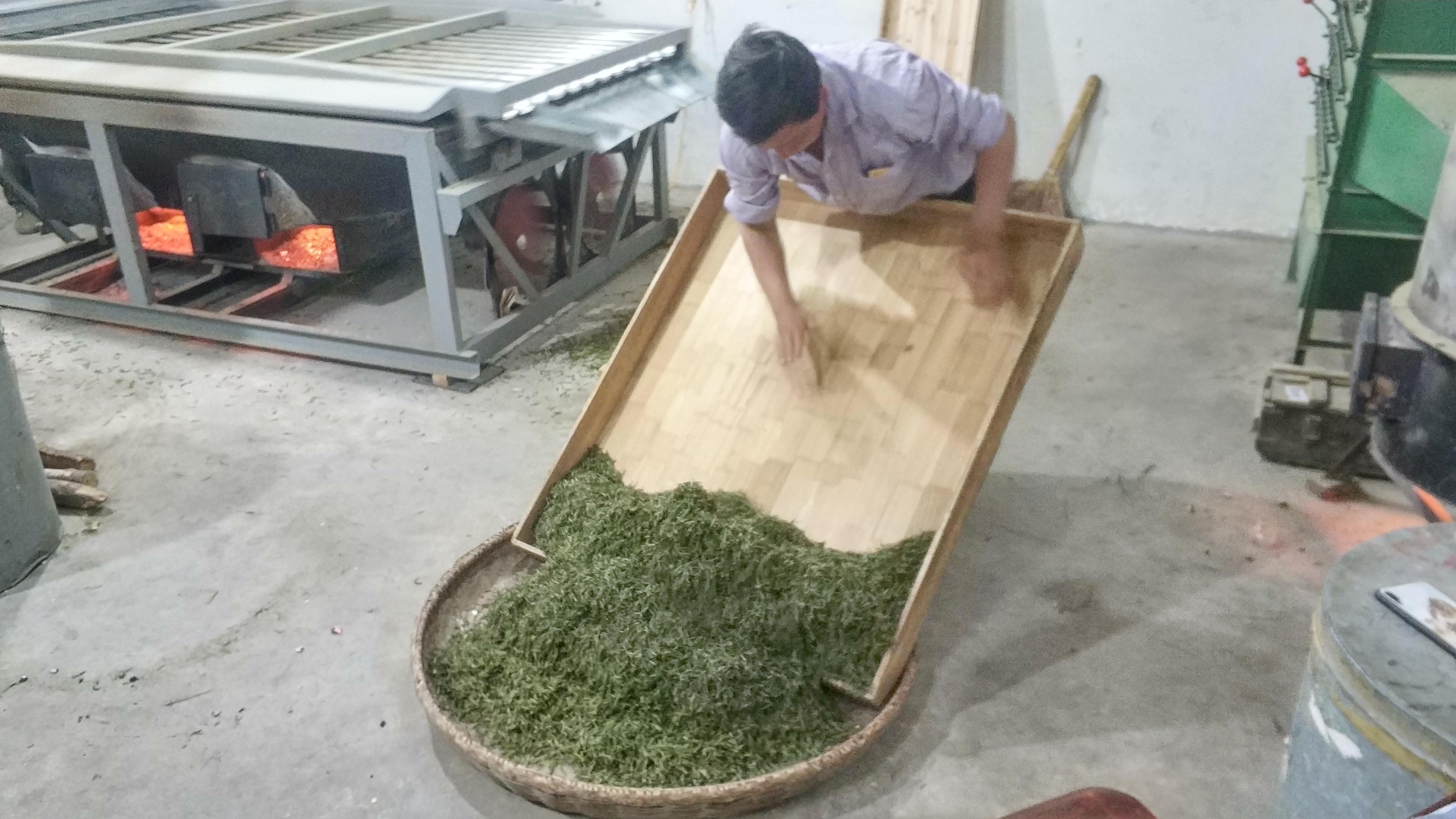 富硒铁观音茶（茶叶铁观音的功效）-硒宝网