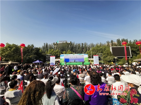 榆林富硒黑茶（陕西黑茶）-硒宝网