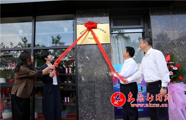 榆林富硒黑茶（陕西黑茶）-硒宝网