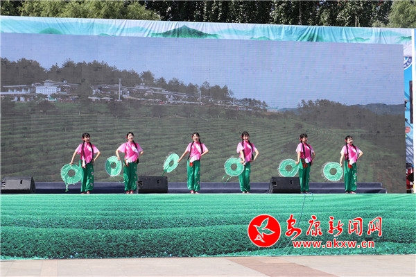 榆林富硒黑茶（陕西黑茶）-硒宝网