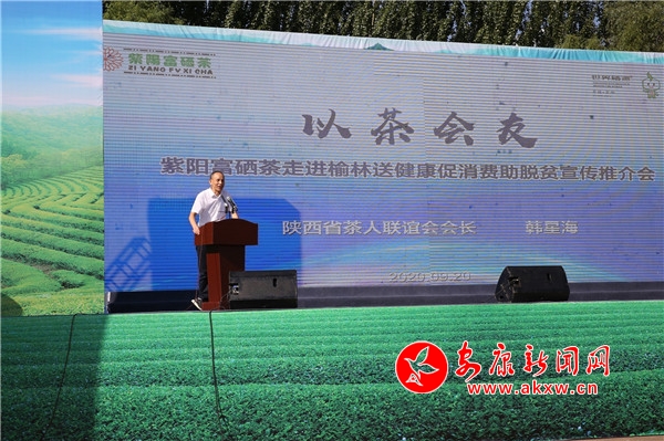 榆林富硒黑茶（陕西黑茶）-硒宝网