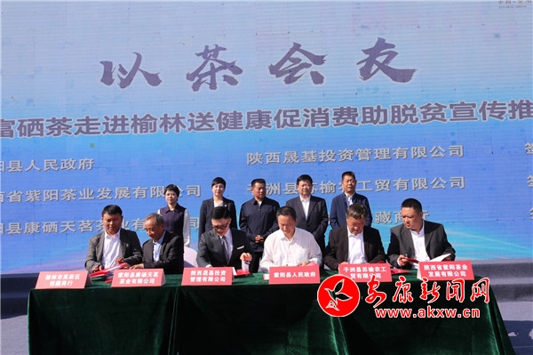 榆林富硒黑茶（陕西黑茶）-硒宝网