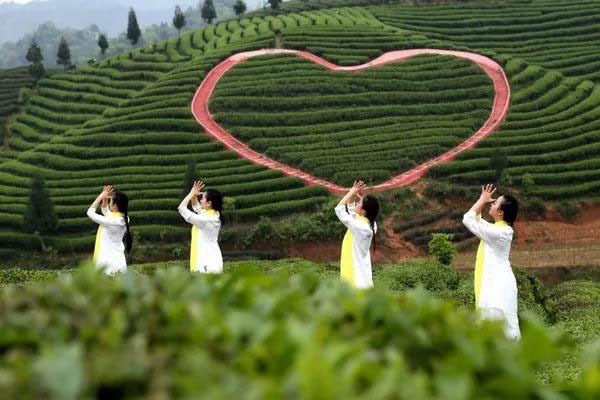仁怀富锌硒茶(贵州锌硒茶)-硒宝网