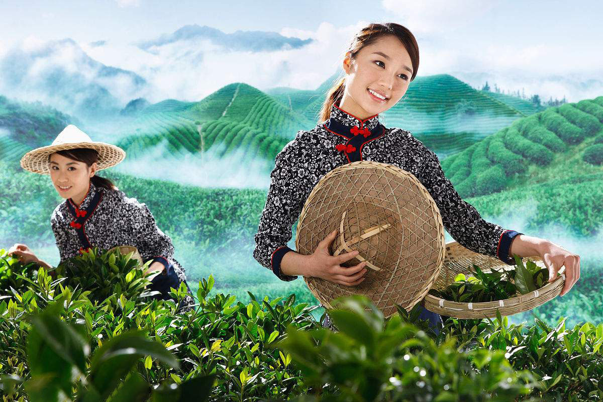 仁怀富锌硒茶(贵州锌硒茶)-硒宝网