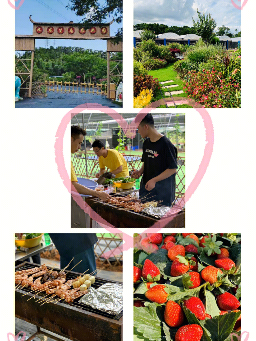 富硒构树叶茶（构树叶茶的功效与副作用）-硒宝网