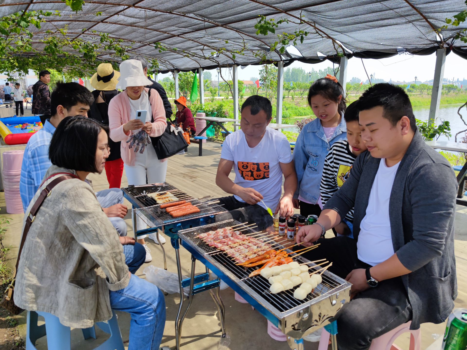 富硒构树叶茶（构树叶茶的功效与副作用）-硒宝网